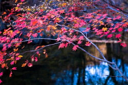 桃乃木香奈用肉体还债内容展示